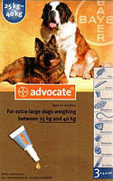 Advocate капли для собак весом от 25кг,1 пипетка