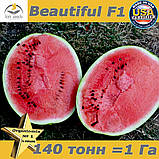 Насіння, цукровий кавун, великоплідний Бьютіфул F1 / Beautiful F1, LARK SEEDS (США), 1000 насінин проф. пакет, фото 2