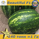 Насіння, цукровий кавун, великоплідний Бьютіфул F1 / Beautiful F1, LARK SEEDS (США), 1000 насінин проф. пакет, фото 3