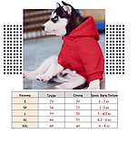 Кофта для собак з капішоном, фото 2