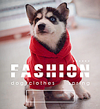 Кофта для собак з капішоном, фото 8