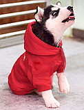 Кофта для собак з капішоном, фото 9