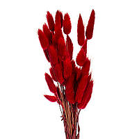 Лагурус стабілізований (червоний) 57 см