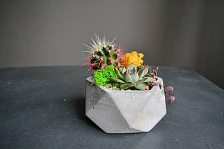 Бетонне геометричне кашпо 12*6 см Бетонний горщик для рослин/Кашпо для стабілізованого моху