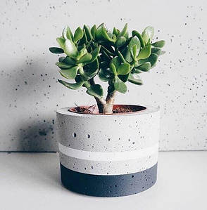 Бетонну геометричне кашпо 18*18*12 см Бетонний горщик для рослин/Кашпо для стабілізованого моху