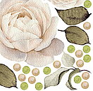 Декоративна інтер'єрна наклейка, оракал, Акварельні троянди античний білий (бежеві, білі, палієві квіти), фото 4