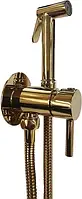 Гигиенический душ со смесителем Paffoni золото (ZDUP110HG)