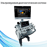 Ультразвуковая диагностическая система Acclarix LX8