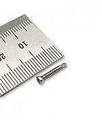 Мікрогвинт D = 2,0 мм, 12 мм (Квадрат, сталь)