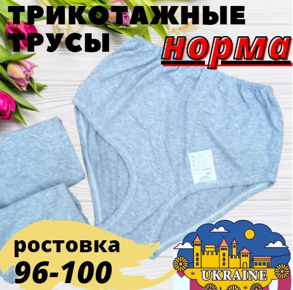 Жіночі труси трикотаж сірі НОРМА (зрочення 96-108) 100% бавовна, 30030601