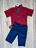 Модна темно-червона сорочка Polo з коротким рукавом для хлопчика, фото 3