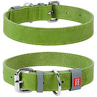 Шкіряні нашийники.