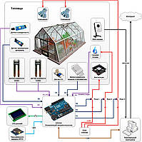 Теплица как бизнес: как обеспечить стабильный доход