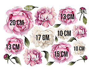 Набір інтер'єрних мінінаклейок Акварельні біло-рожеві півонії, від 10 до 20 см
