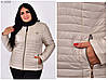 Коротка жіноча куртка демісезонна без капюшона розміри 42-72, фото 7