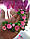 Браслет і сережки з малиновими трояндами, бутонами троянд, зеленими листочками з полімерної глини, фото 2