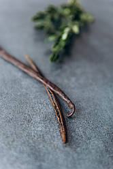 Ваніль стручок 2 грами