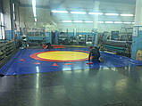 Борцовський килим для боротьби, дзюдо 10х10м, товщина 40мм OSPORT, фото 5