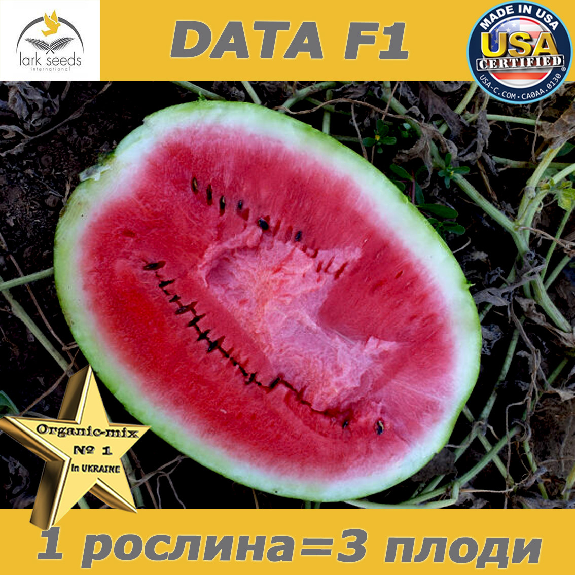 Насіння, кавун урожайний ДАТА F1 / DATA F1, Spark Seeds (США), 1000 насінин проф. пакет