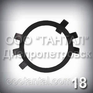 Шайба 18 ГОСТ 11872-89 стопорна багатолапчаста, фото 1