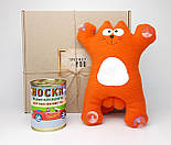 Подарунок автомобілісту "Неперевершений автомобіліст": Саймон в машину і шкарпетки неперевершеного, фото 8