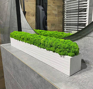 Дерев'яне кашпо зі стабілізованим мохом / Декор з моху /Декор з дерева 50 см