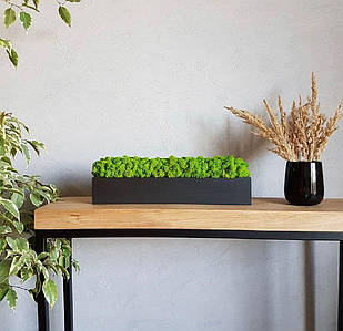 Дерев'яний кашпо зі стабілізованим мохом 30 *8 див. /Декор з моху /Вироби з дерева Кашпо