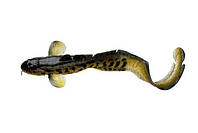 Силикон Savage Gear 3D Burbot 250мм 75г FS 01-Burbot