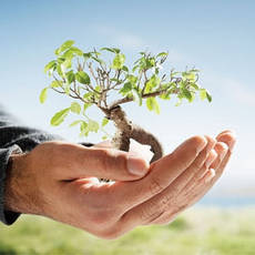 Изображение категории Защита окружающей среды