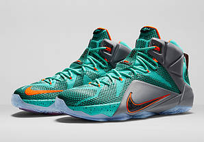 Чоловічі баскетбольні кросівки Nike Lebron 12 "NSRL"