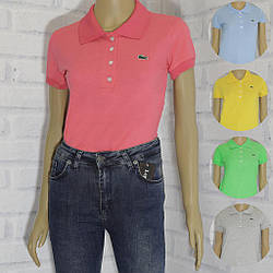 Футболка — поло жіноче з коротким рукавом (розмір L)