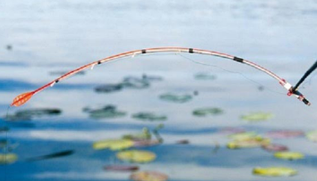 Кивки / сторожки