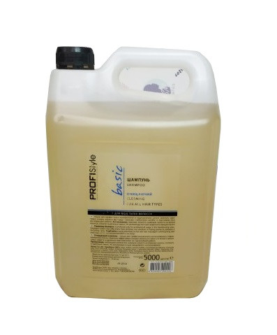 Шампунь очищаючий PROFIStyle BASIC 5000 мл з провітаміном В5