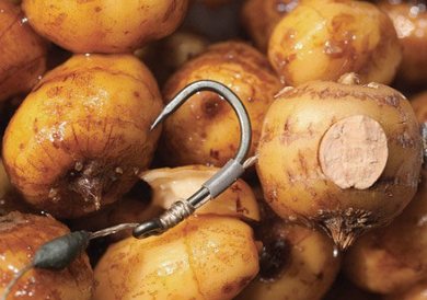 Тигровий горіх