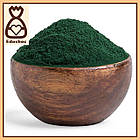 Спіруліна порошок, 500г, фото 2