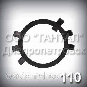 Шайба 110 ГОСТ 11872-89 стопорна багатолапчаста оцинкована