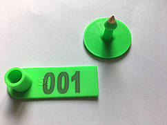Набір вушних бірок 52*18 з номером (01-499) зелений