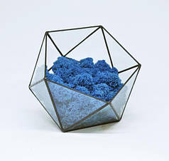 Скляний ікосаедр з мохом