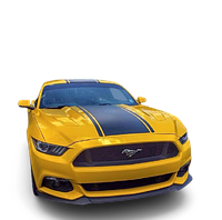 Вінілові смуги на авто ARB 3D TUNING STUDIO FORD Mustang 4200х480х0.060мм