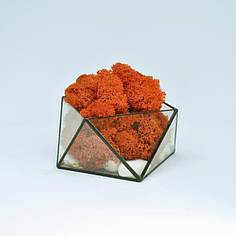 Скляні геометричні вироби з мохом