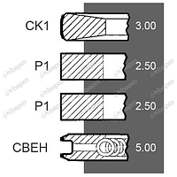 Поршневі кільця Ø100мм двигуна Deutz BF 6L 912 F 2L 912 F 3L 912 F 3L 912 H F 4L 913 F 4L 912