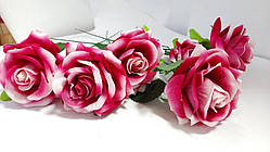 Чайна троянда