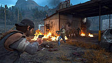 Ключ активації Days Gone (Steam), фото 5