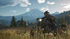 Ключ активації Days Gone (Steam), фото 3
