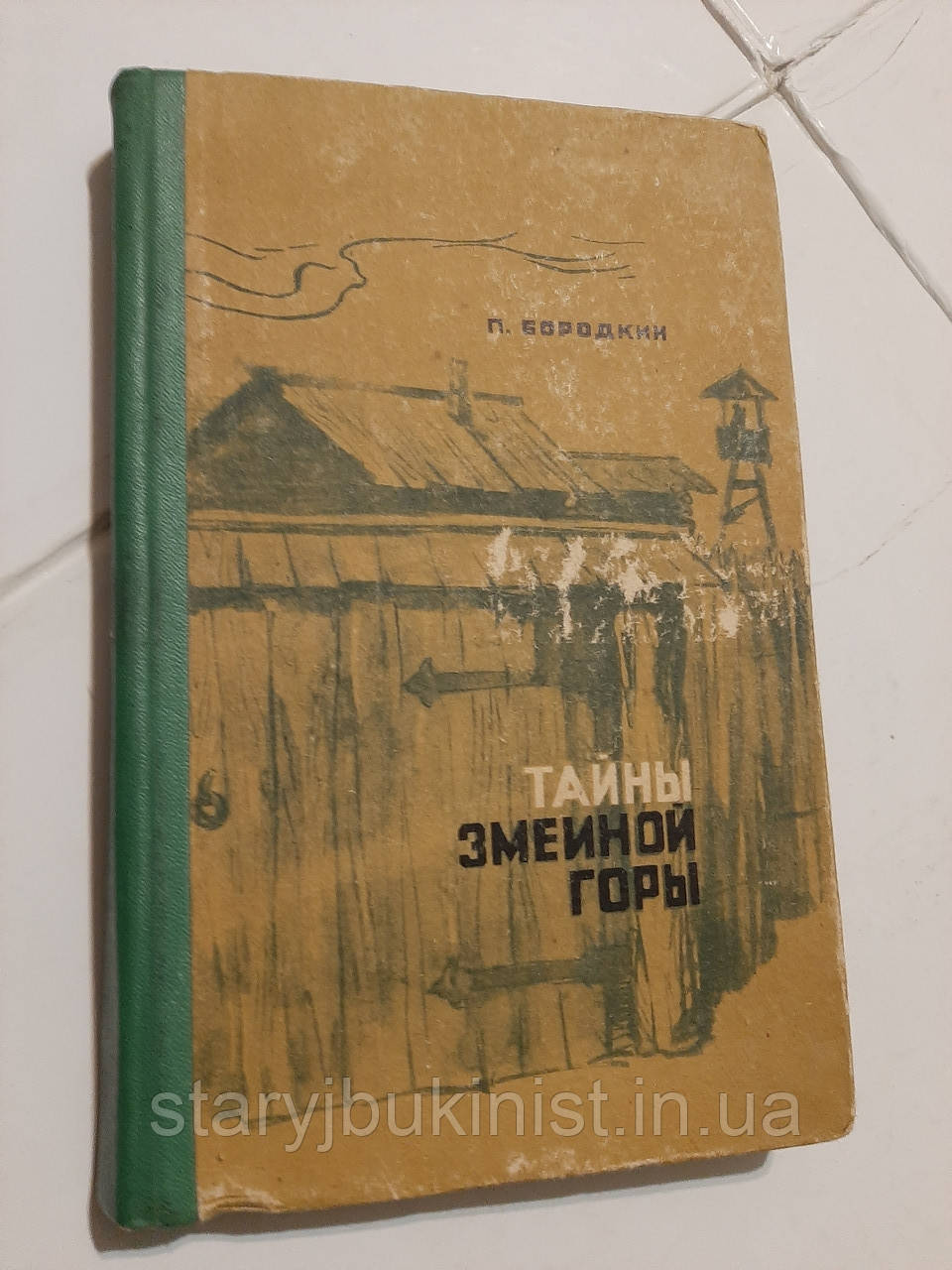 Таємниця Зміїної гори П.Бородкін, фото 1