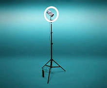 Кільцева LED лампа 30 см на штативі з тримачем для телефону (штатив 2,1 метра)