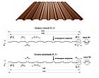 Профнастил кольоровий ПС-20, фото 2