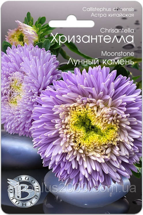 Насіння Астра Китайська Хризантелла Луний Камінь 30 насіння Біотехніка