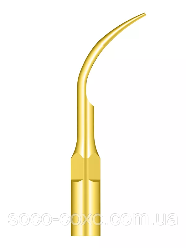 Насадка для скалера G1T-EMS, Woodpecker, Оригінал!, фото 1