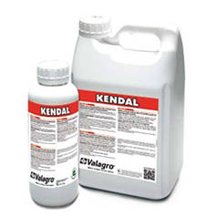 Біостимулятор росту Кендал (Kendal) Valagro 10л